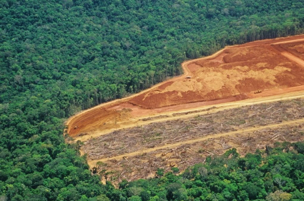 Green Crypto: Why the Environmental Footprint of TRON is Exemplary